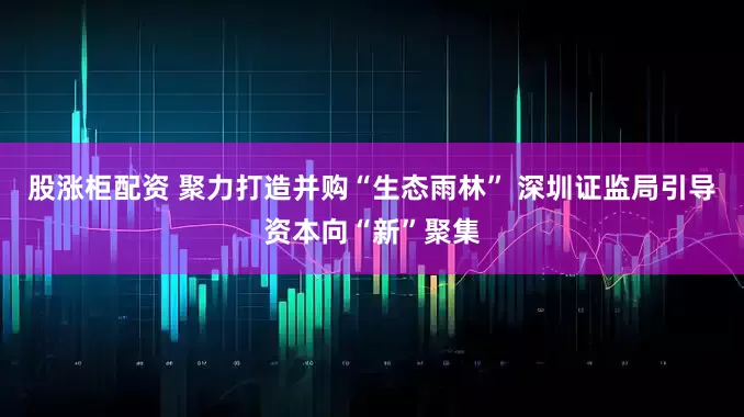 股涨柜配资 聚力打造并购“生态雨林” 深圳证监局引导资本向“新”聚集