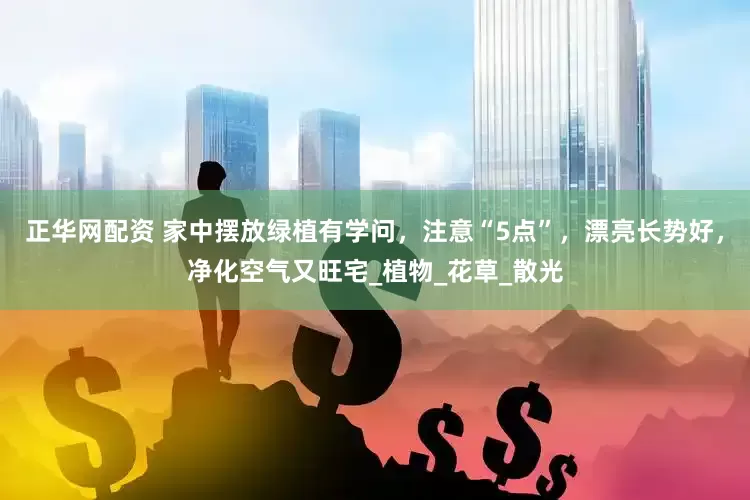 正华网配资 家中摆放绿植有学问，注意“5点”，漂亮长势好，净化空气又旺宅_植物_花草_散光