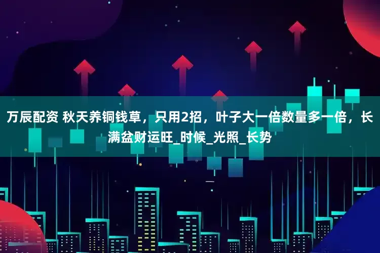 万辰配资 秋天养铜钱草，只用2招，叶子大一倍数量多一倍，长满盆财运旺_时候_光照_长势