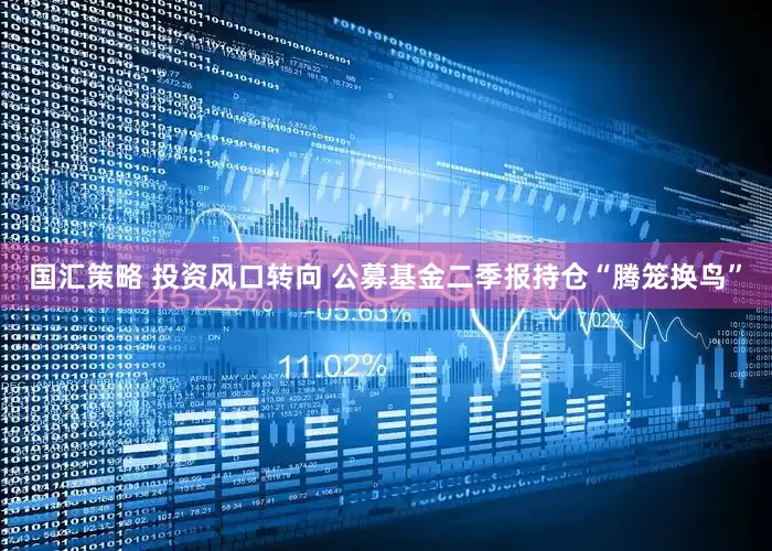 国汇策略 投资风口转向 公募基金二季报持仓“腾笼换鸟”