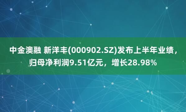 中金澳融 新洋丰(000902.SZ)发布上半年业绩，归母净利润9.51亿元，增长28.98%